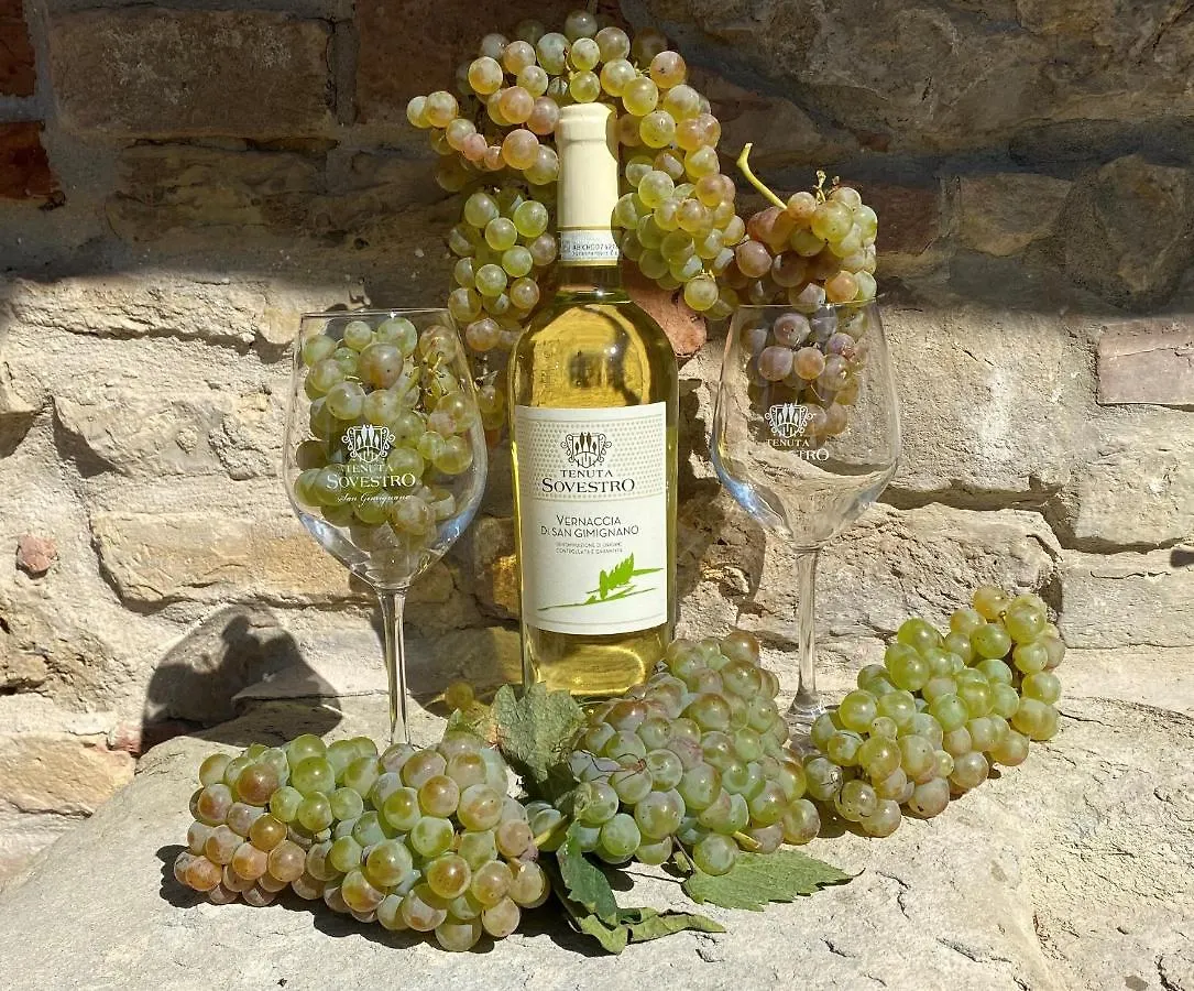 Farm stay Tenuta Sovestro San Gimignano