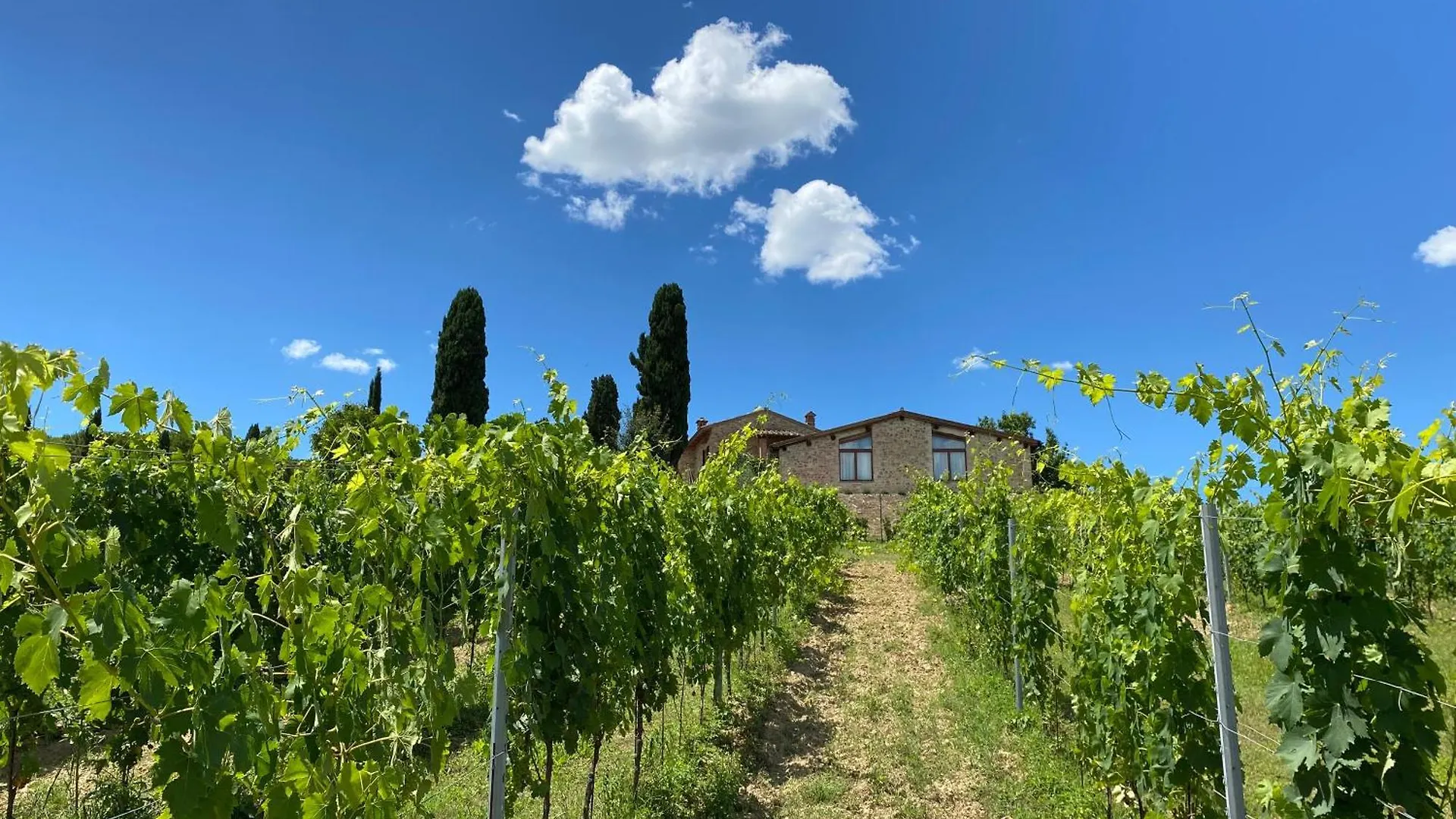 Tenuta Sovestro San Gimignano Farm stay